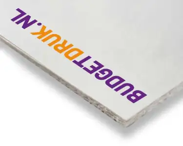 (afbeelding voor) dispa® papierplaten 3,8 mm