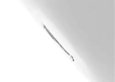 (afbeelding voor) nietjes gebonden