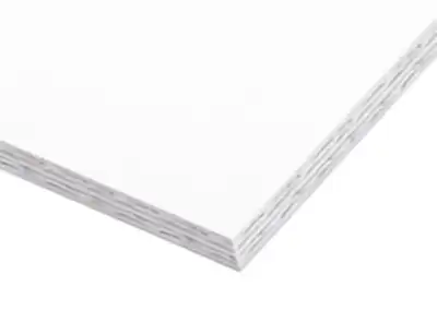 (afbeelding voor) dispa® papierplaten 3,8 mm